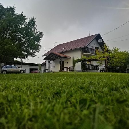 Hotel House Viktoria Selište Drežničko Exterior foto