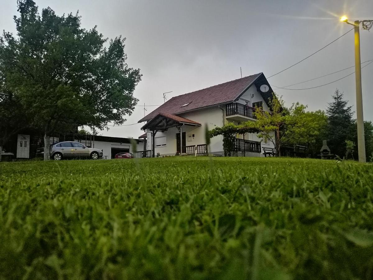 Hotel House Viktoria Selište Drežničko Exterior foto