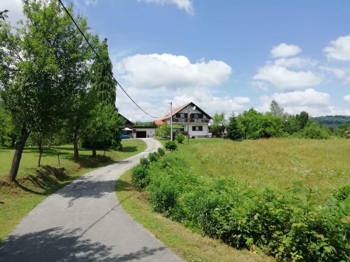 Hotel House Viktoria Selište Drežničko Exterior foto