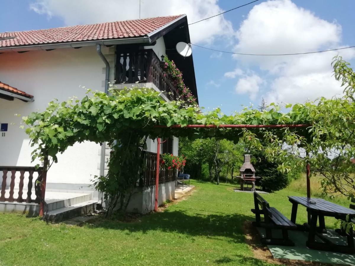 Hotel House Viktoria Selište Drežničko Exterior foto