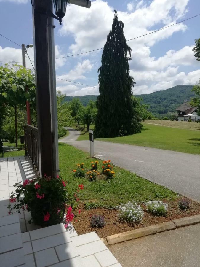 Hotel House Viktoria Selište Drežničko Exterior foto